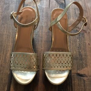 BCBG gold wedges